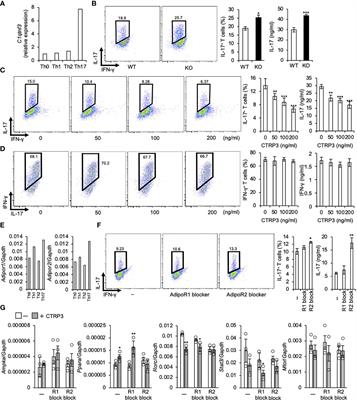 The CTRP3-AdipoR2 Axis Regulates the Development of Experimental Autoimmune Encephalomyelitis by Suppressing Th17 Cell Differentiation